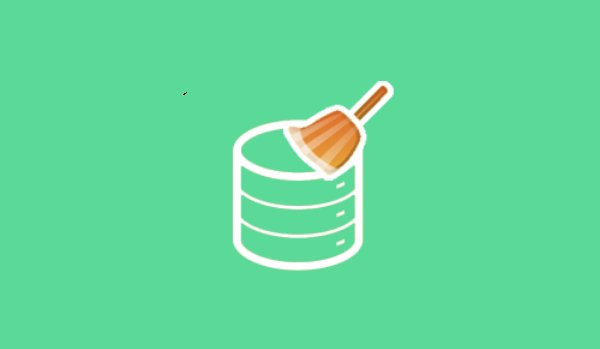 optimize your wordpress database